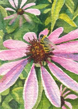 "Bee-utiful" by Sherry Ackerman, Cottage Grove WI - Watercolor - SOLD
